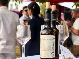 Festival Mar de Tethys 2026 - Bodega Vetas